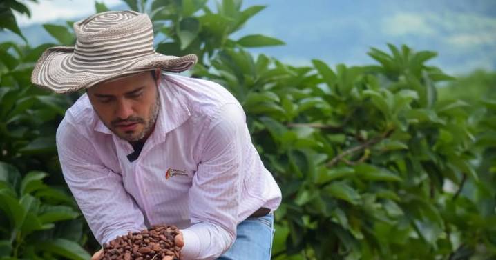 Cacao de Santander está entre los 50 mejores del mundo en 2025: conozca la historia de su productor