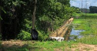 City of Florence: Rail Trail extension ribbon