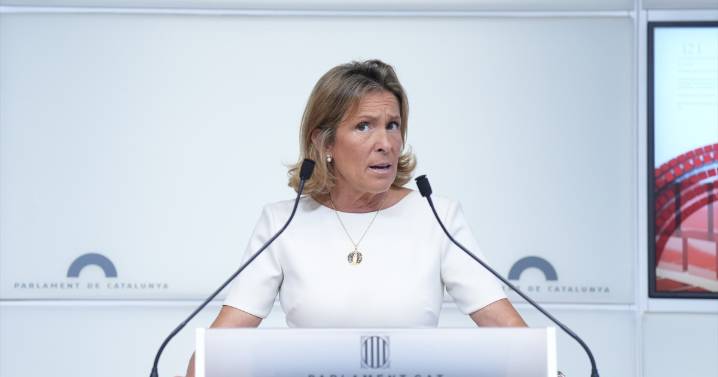 Vox acusa a Illa de estar «financiando la delincuencia y la inmigración ilegal»