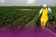 México decreta prohibición de 35 plaguicidas altamente peligrosos