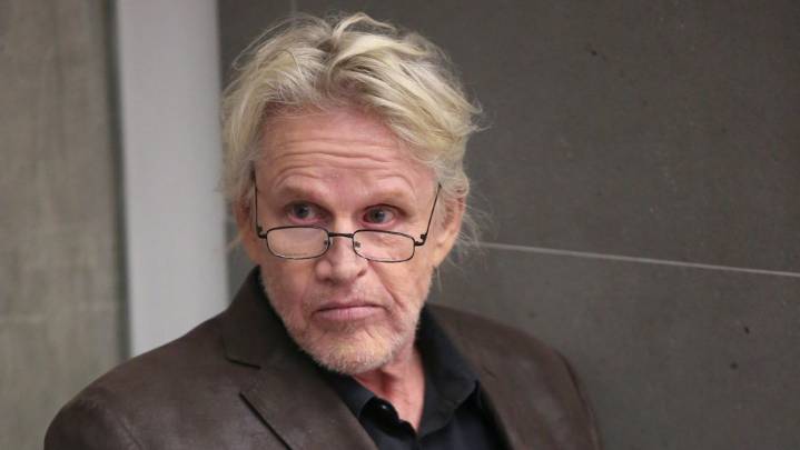 Gary Busey Sentenced to 2 Years Probation After Pleading Guilty to Sex Crime