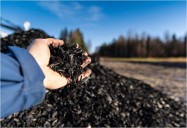 What happened to the planned biochar facility, largest in North America, that was to be built in Port Angeles?