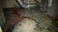 Homeowner frustrated with Citizens Energy after repetitive flooding