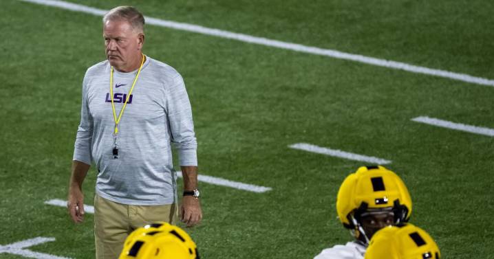 Were LSU-Clemson officials right to call back that touchdown? Brian Kelly weighs in.