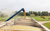 El desaire de China a la soya estadounidense es una crisis para los agricultores de EU