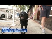 Alderman pushing to make it easier for Chicago restaurants to be dog friendly