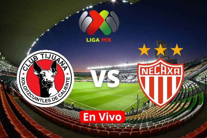 Tijuana vs Necaxa: Horario, canal, cómo y dónde ver en vivo la Liga MX