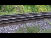 Person reportedly hit by train in University City area of northeast Charlotte