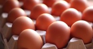La forma correcta de guardar los huevos para que duren más tiempo y no se pongan feos