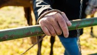 Acusan a hombre de obligar a adolescentes inmigrantes a trabajar en una granja