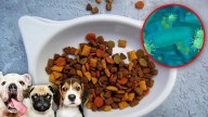 Retiran de las tiendas popular marca de alimento para mascotas contaminado con una peligrosa bacteria