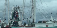 Mississippi Sound shrimping lines re-established for 2025