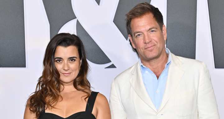 Michael Weatherly & Cote de Pablo Talk ‘NCIS: Tony & Ziva’ Splitting Up Their Characters | Cote de Pablo, Michael Weatherly, NCIS: Tony & Ziva