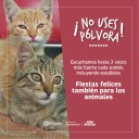 Fiestas felices también para los animales
