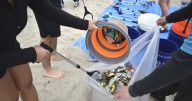 Help California clean up its coast this Saturday