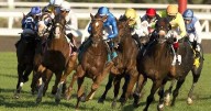 Tom’s Magic wins Breeders' Stakes, the final jewel of Canadian Triple Crown