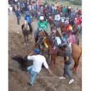 Indignante maltrato animal en la Feria de Tintorero