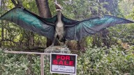 Ever wanted a dinosaur? New Jersey park is selling giant animatronics on Facebook