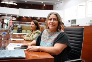 Diputada Blanca Águila se declara independiente en el Congreso local