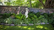 17 Fast-Growing Shade Plants That Will Effortlessly Fill Your Garden With Color