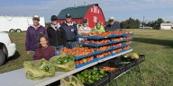 The Lord’s Cupboard in Minot sees ‘record-breaking’ harvest in Velva farm