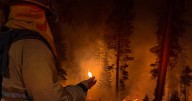 Local strike team returns home after fighting two major California wildfires