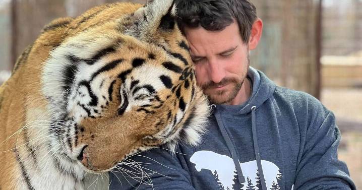 Tiger King's former colleague mauled to death by big cat at his animal preserve