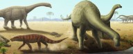 Giant Dinosaurs Were Riddled With a Devastating Disease, Fossils Show