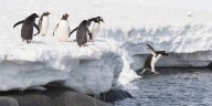 Linux has the lineage to out-evolve cyber threats • The Register