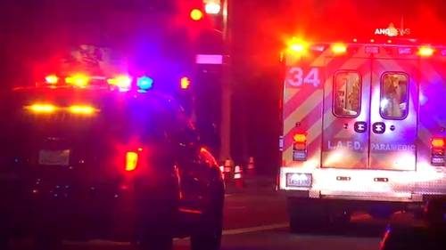 Los Angeles police shoot armed suspect during early morning at liquor store in South LA