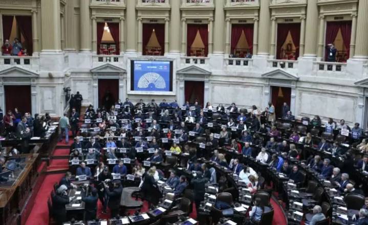 Diputados rechazó los vetos de Milei a las leyes de financiamiento universitario y de fondos para el Garrahan