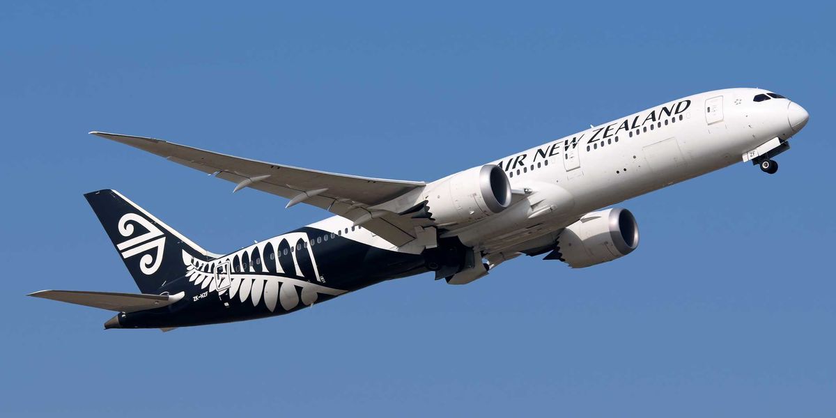 Airlines and banks admit net-zero promises were pure fantasy