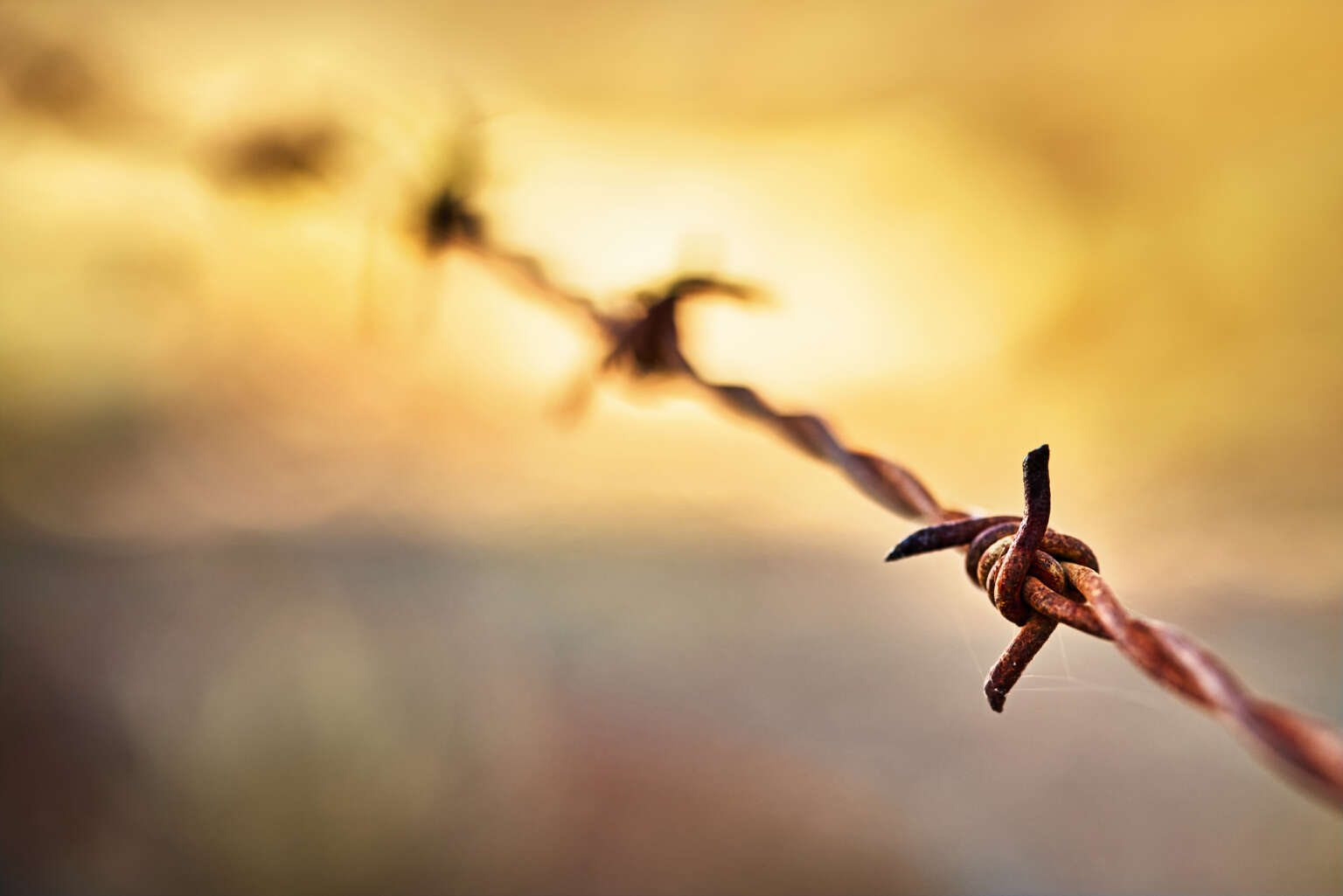 As Prisons Deal With Heat Waves, Climate Crisis Makes Abolition Even More Urgent