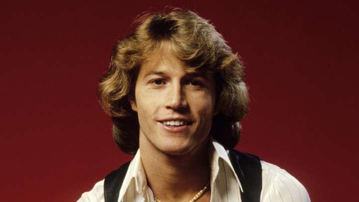'70s Musicians We Completely Forgot About