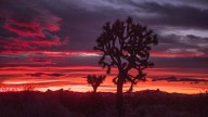 Former national park superintendents urge Trump administration to close parks in case of shutdown