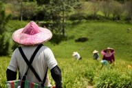 ‘Mis padres me extrañarían, pero esto es una gran oportunidad para mí’: agricultores ecuatorianos aplican a programa Migración Circular para trabajar en otros países