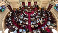 Cómo votó cada senador el veto a la Ley de Emergencia en Discapacidad