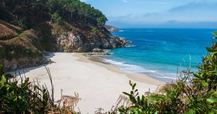 Men in Wet Clothes Claiming to Be Pilgrims Busted in Cocaine Smuggling Plot