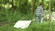 Lyme disease surges in Michigan, prompting counties to take action