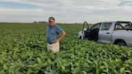 La gestión de la herencia argentina
