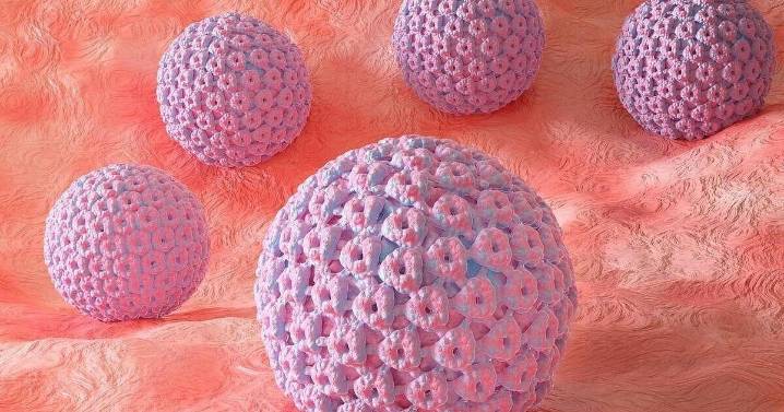 Cervical Cancer Survivors Have Higher Risk of Another Type Of Cancer