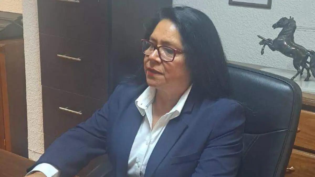Reforma judicial polariza; exigen justicia sin política: Colegio de Abogados de Irapuato