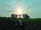 48 farmer suicides daily in country amid mounting debt crisis