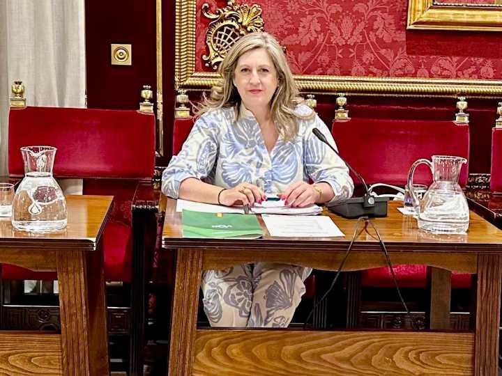VOX rechaza la subida de las tarifas de EMASAGRA para 2026