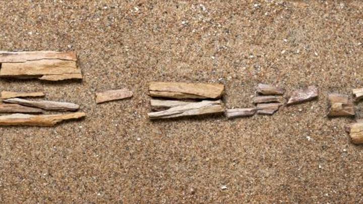 Países Bajos acepta devolver miles de fósiles a Indonesia que extrajeron cuando esta era colonia