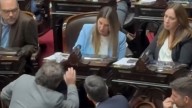 Así le gritaba Ritondo a Lospennato en plena sesión por votar contra el veto de Milei