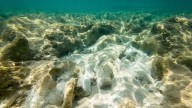 En las profundidades abisales, China construye una estación submarina para buscar tesoros enterrados