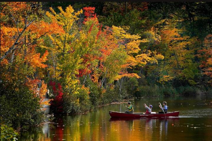 Day and night get equal billing Monday as fall equinox arrives. Here’s what to know