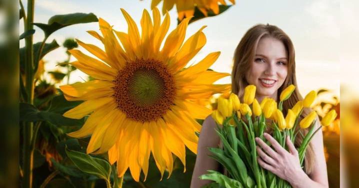 ¿Por qué se regalan flores amarillas solo los 21 de septiembre y qué significado hay tras la práctica?