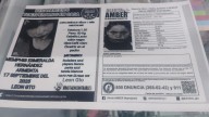 Esmeralda pudo haber sido sustraída de León; colectivos piden agilizar su búsqueda